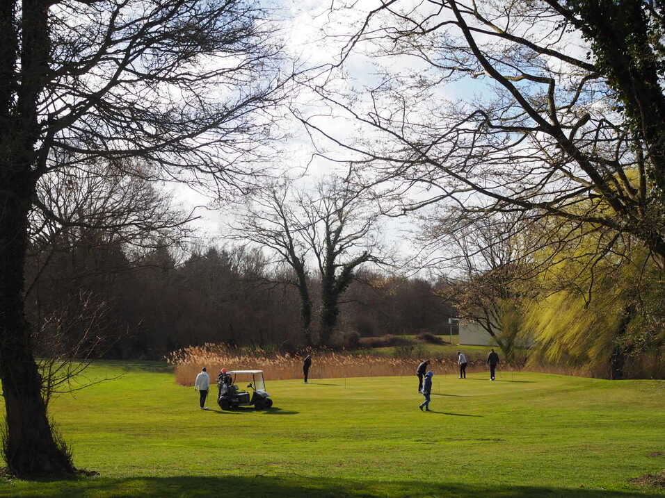 Golfer auf einer gr&uuml;nen Wiese mit B&auml;umen im Hintergrund; Golfcart und spielende Personen sind zu sehen.