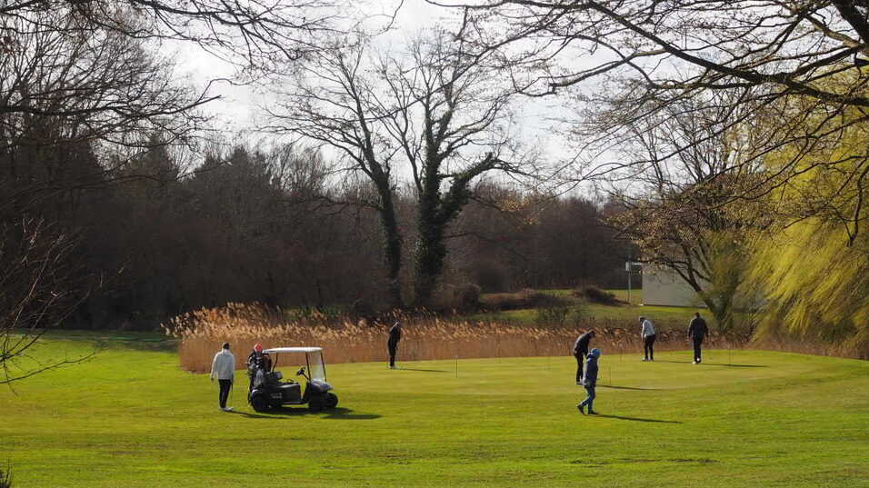 Golfer auf einer gr&uuml;nen Wiese mit B&auml;umen im Hintergrund; Golfcart und spielende Personen sind zu sehen.
