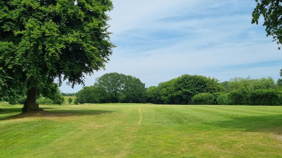 Weite, gr&uuml;ne Wiese mit B&auml;umen und Wolken am Himmel, die einen ruhigen, sonnigen Tag zeigt.