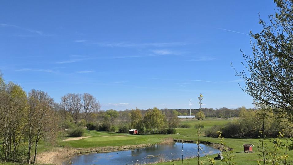 Landschaftsaufnahme mit Wiese, kleinem Teich und bl&uuml;henden B&auml;umen unter wolkenlosem blauen Himmel.