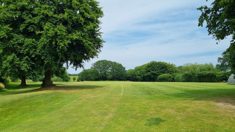 Blick auf eine weitl&auml;ufige, gr&uuml;ne Wiese mit B&auml;umen und sanften H&uuml;geln unter blauem Himmel.