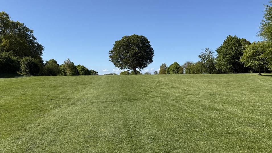 Blick auf eine gr&uuml;ne Wiese mit einzelnen B&auml;umen unter blauem Himmel und wenigen Wolken.