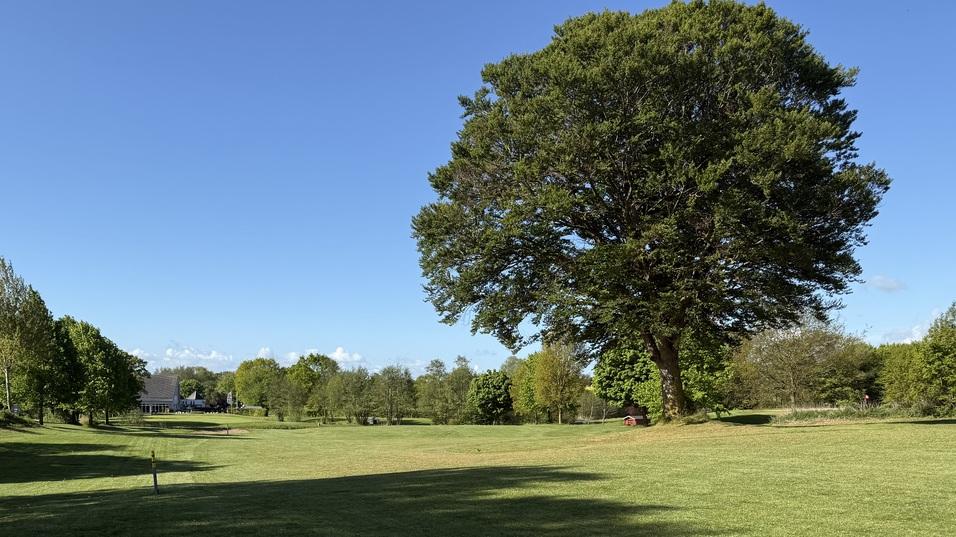 Weite Parklandschaft mit gr&uuml;nem Rasen, B&auml;umen und blauem Himmel im Hintergrund. Schatten spendender Baum links im Bild.