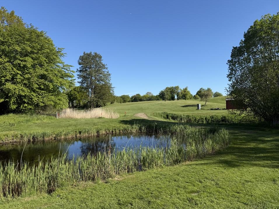 Gr&uuml;ne Wiese mit einem kleinen Teich, umgeben von B&auml;umen und h&uuml;geliger Landschaft unter blauem Himmel.