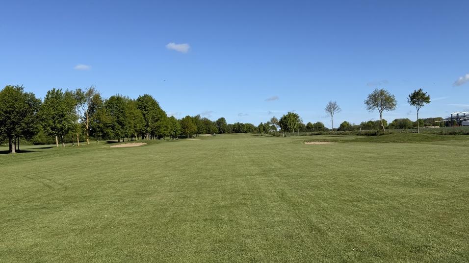 Weite, gr&uuml;ne Wiese mit B&auml;umen und klarem blauen Himmel im Hintergrund.