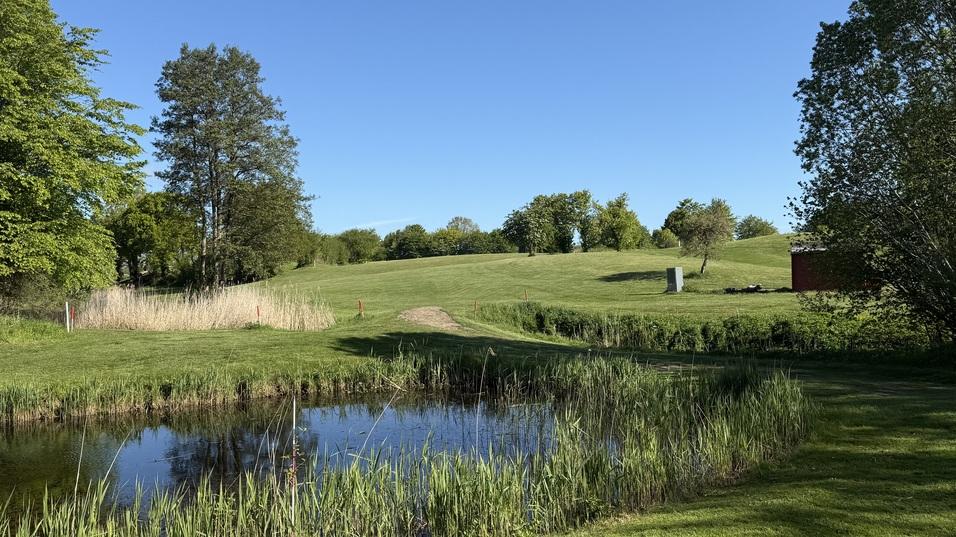 Gr&uuml;ne Wiese mit einem kleinen Teich, umgeben von B&auml;umen und h&uuml;geliger Landschaft unter blauem Himmel.