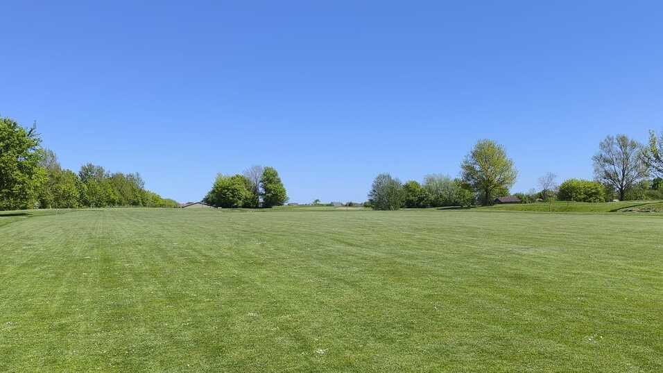 Weite gr&uuml;ne Wiese mit gleichm&auml;&szlig;iger Grasfl&auml;che und vereinzelten B&auml;umen unter blauem Himmel.